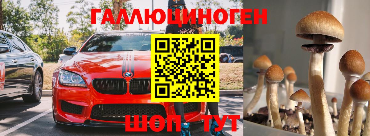 Псилоцибиновые грибы мухоморы  Вход с VPN  Карабулак 
